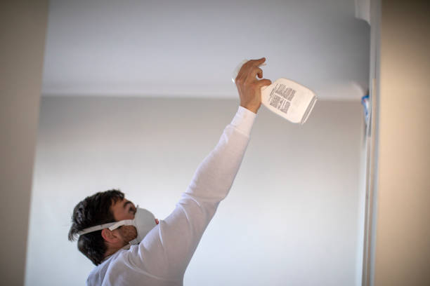Attic Mold Removal in Falmouth, KY